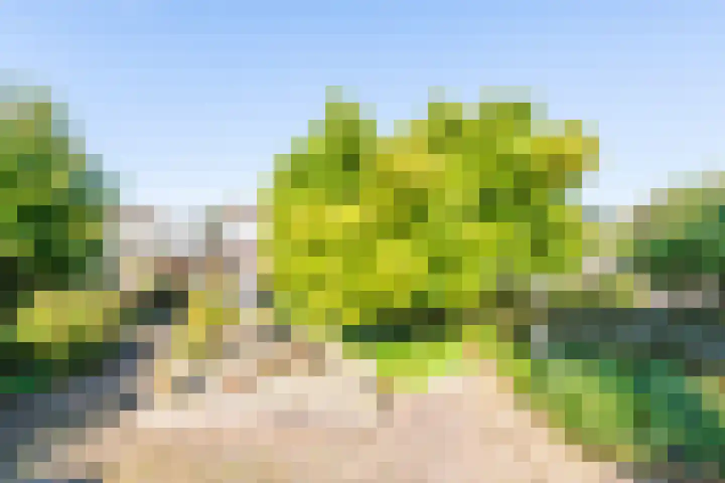 Geul 9 Heerhugowaard thumbnail 36