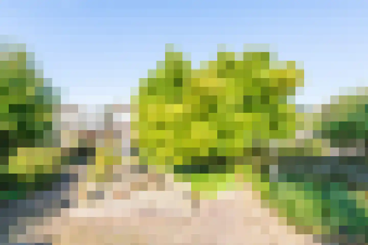 Geul 9 Heerhugowaard thumbnail 7