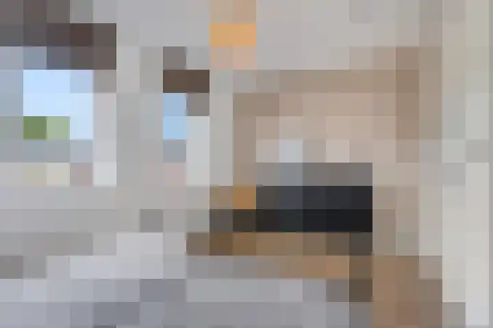 Geuldal 14 Ede thumbnail 18