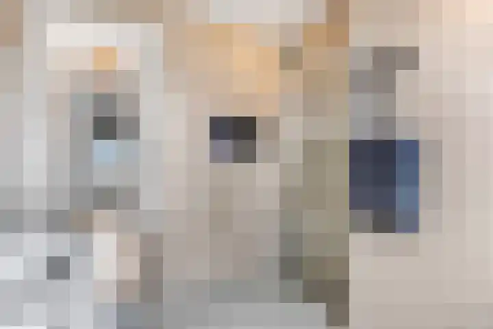 Geuldal 14 Ede thumbnail 22