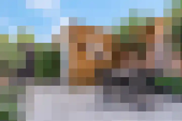 Geuldal 14 Ede thumbnail 34