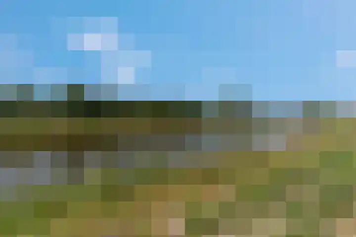 Geuldal 14 Ede thumbnail 42