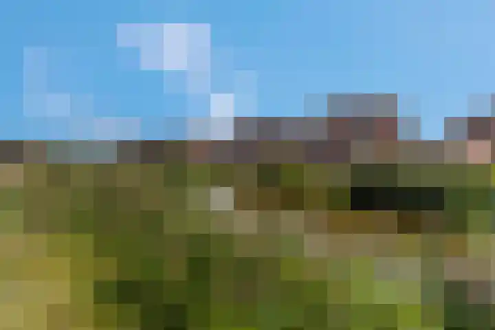 Geuldal 14 Ede thumbnail 43