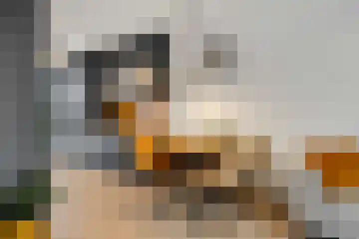 Geuldal 58 Ede thumbnail 6