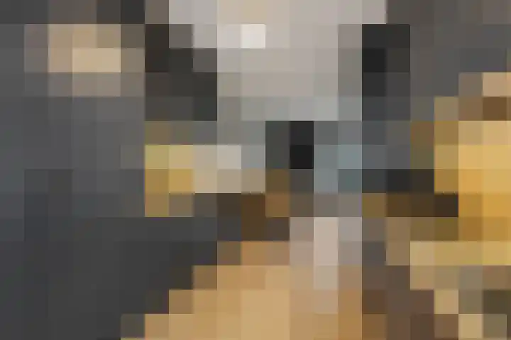 Geuldal 58 Ede thumbnail 8