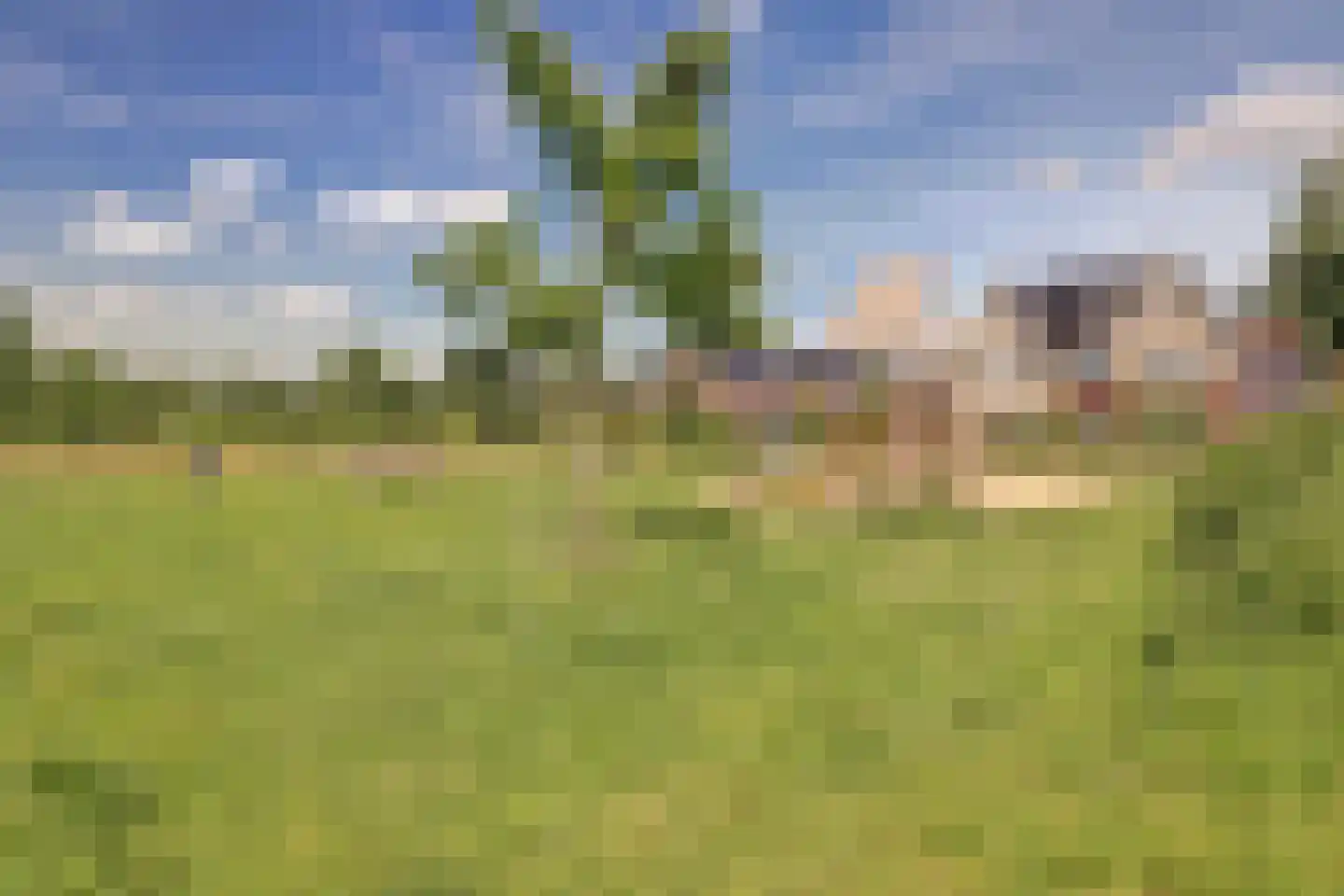 Geuldal 66 Ede thumbnail 30