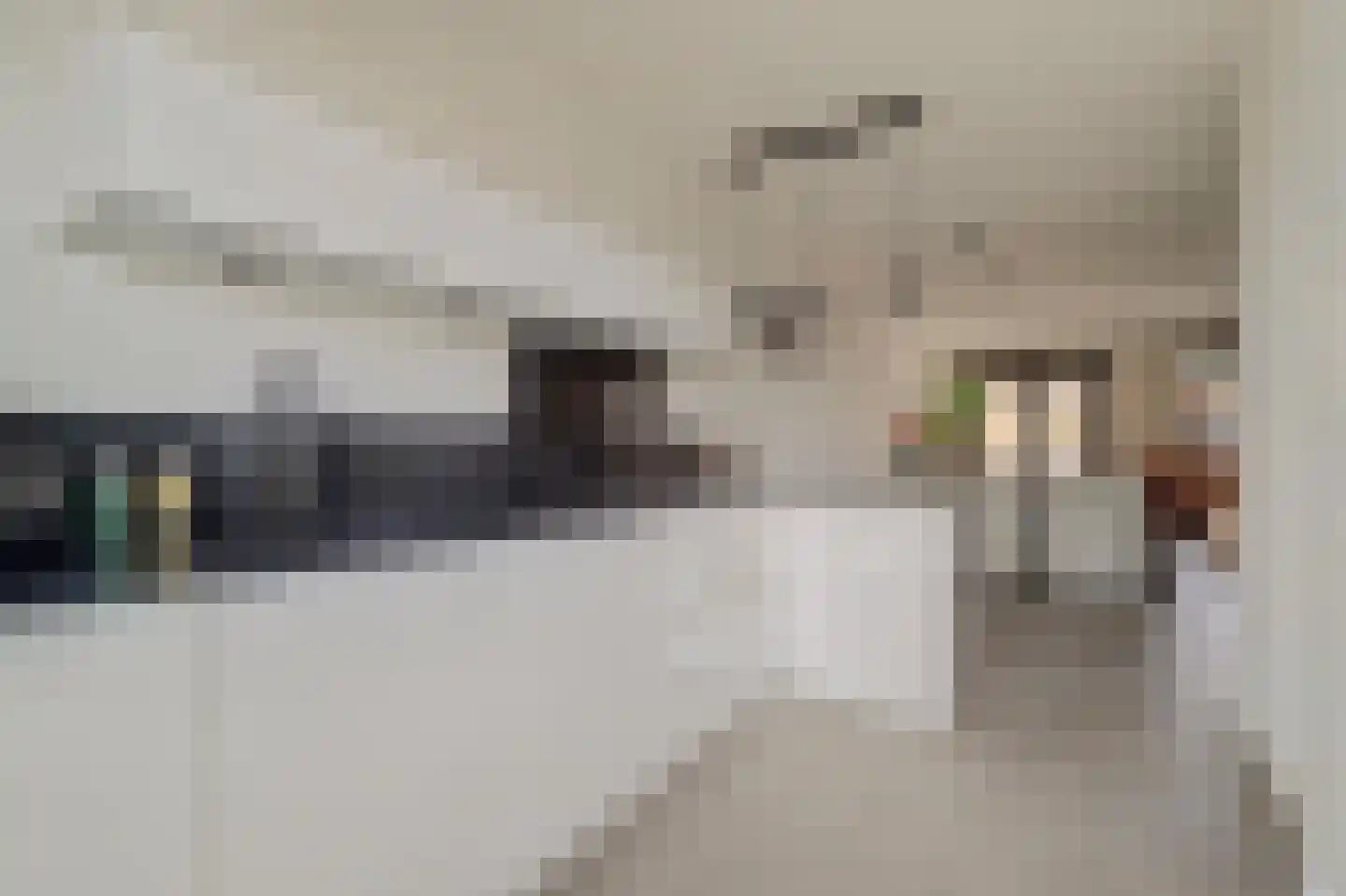 Geuldal 66 Ede thumbnail 8