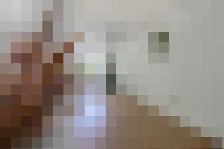 Geulgracht 7 Berg en Terblijt thumbnail 10
