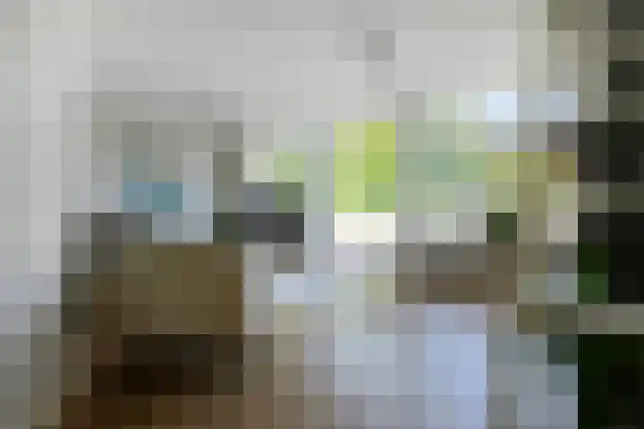 Geulgracht 7 Berg en Terblijt thumbnail 11