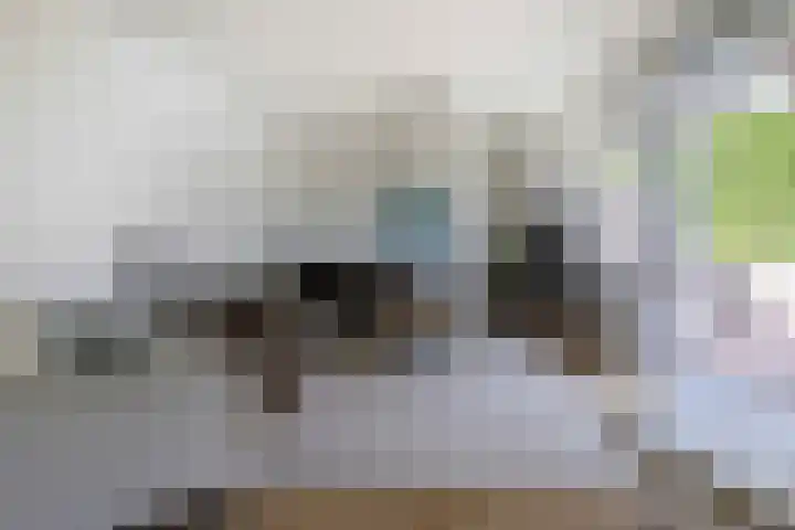 Geulgracht 7 Berg en Terblijt thumbnail 12