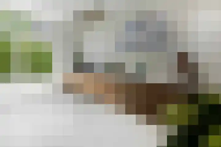 Geulgracht 7 Berg en Terblijt thumbnail 20