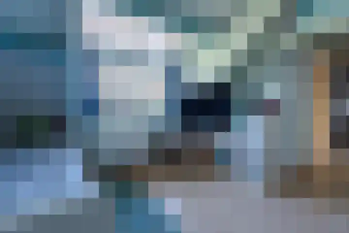 Geulgracht 7 Berg en Terblijt thumbnail 33