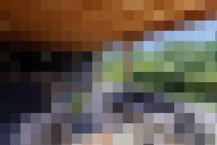 Geulgracht 7 Berg en Terblijt thumbnail 40