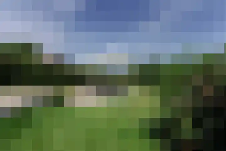 Geulgracht 7 Berg en Terblijt thumbnail 41