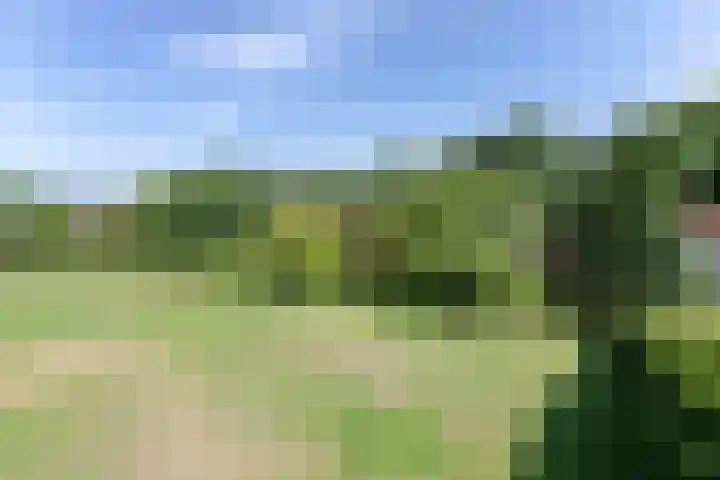 Geulgracht 7 Berg en Terblijt thumbnail 42
