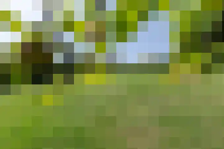 Geulgracht 7 Berg en Terblijt thumbnail 43