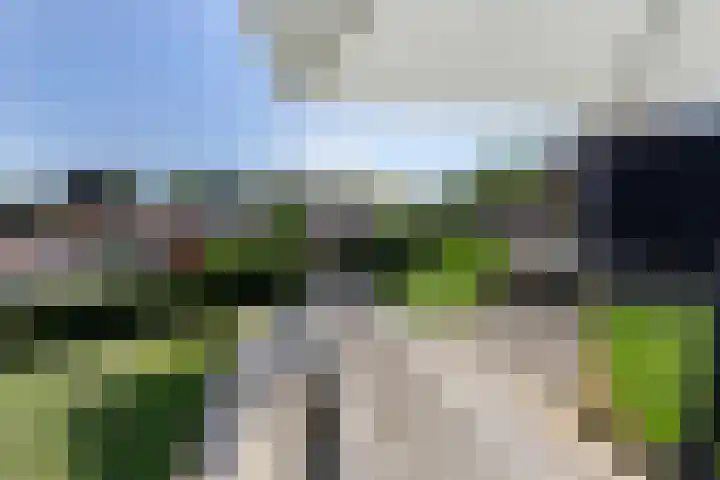 Geulgracht 7 Berg en Terblijt thumbnail 44