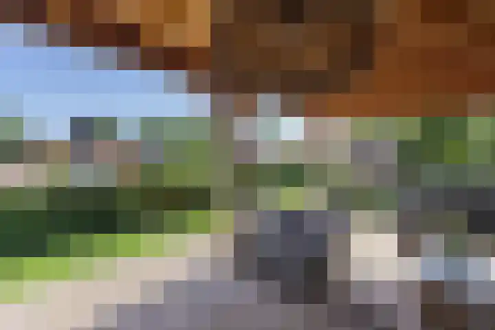 Geulgracht 7 Berg en Terblijt thumbnail 45
