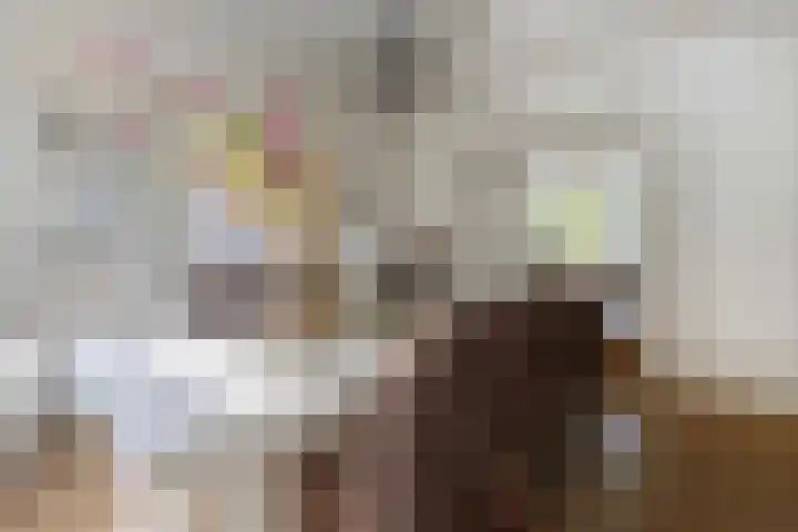 Geulgracht 7 Berg en Terblijt thumbnail 8
