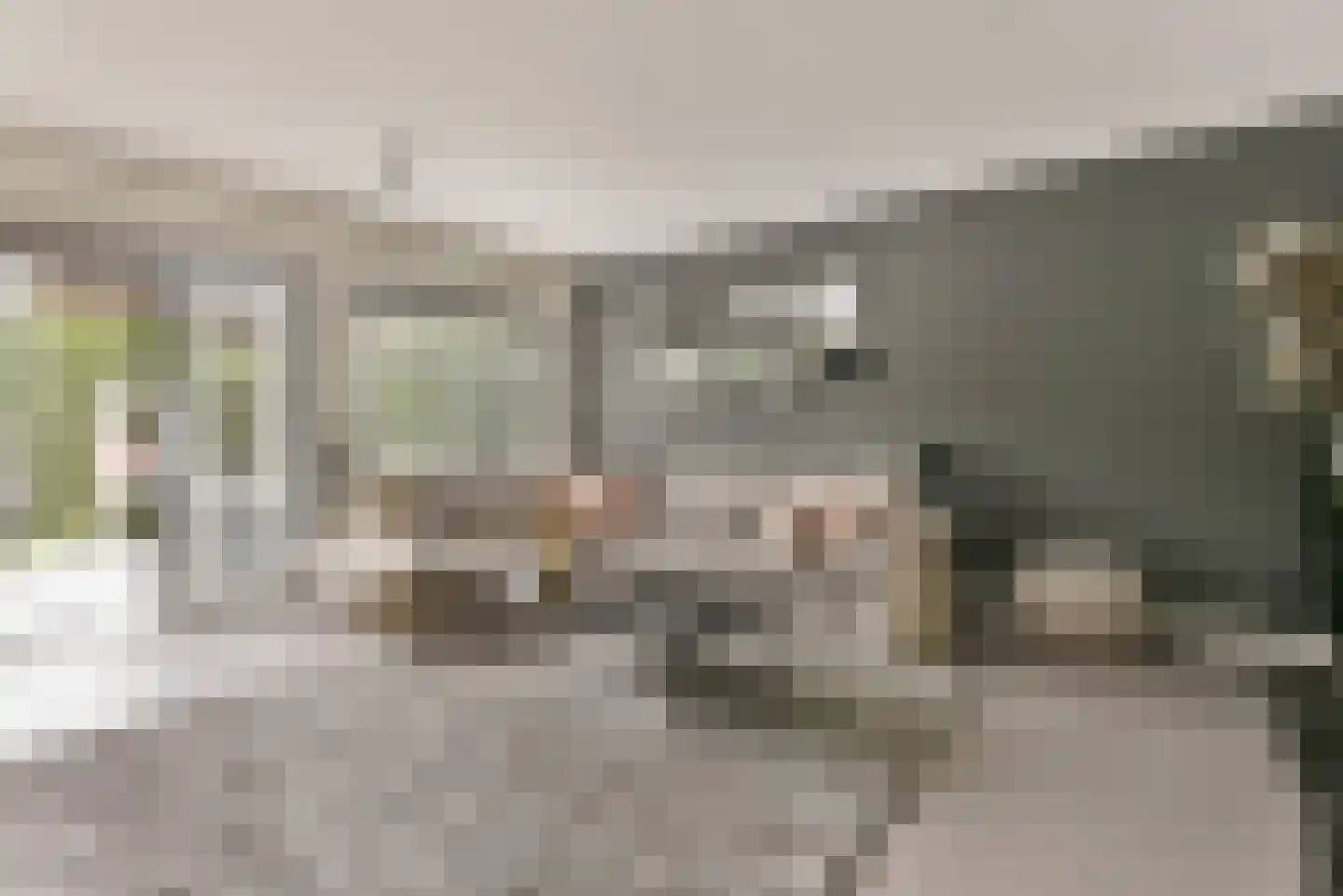 Geulhemmerberg 13 Amersfoort thumbnail 11