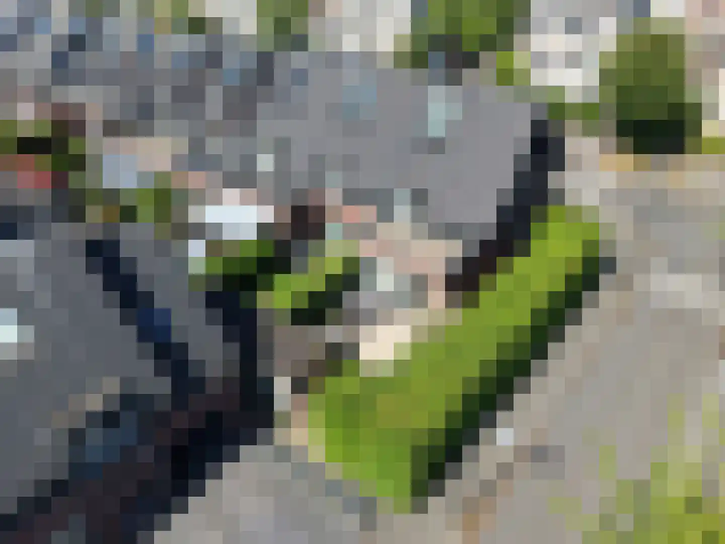 Geulhemmerberg 13 Amersfoort thumbnail 36
