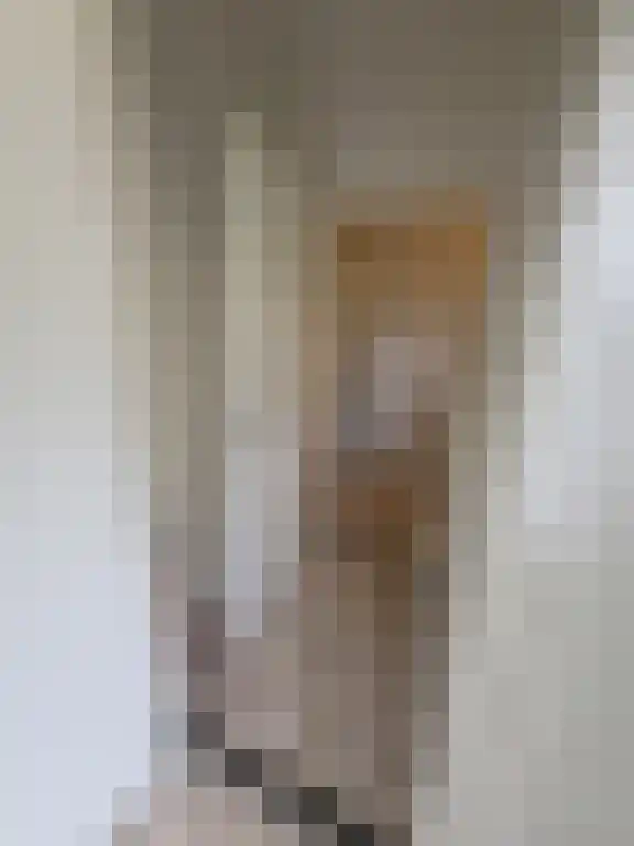 Geulhemmerweg 22 A Berg en Terblijt thumbnail 6