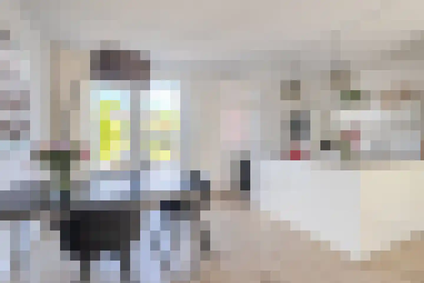 Geulhout 4 Bunde thumbnail 12