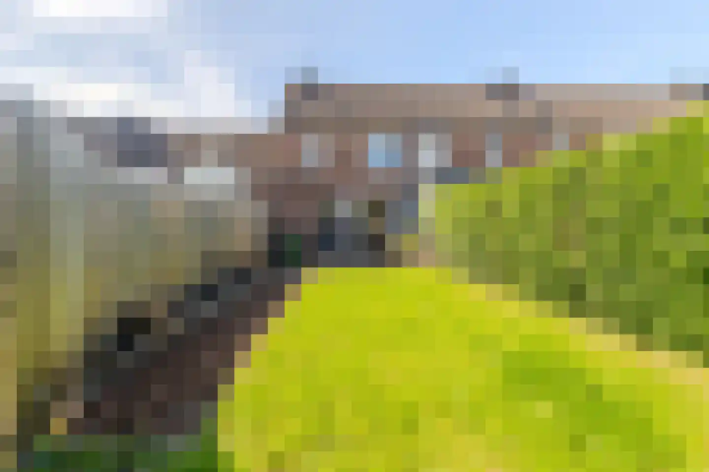 Geulhout 4 Bunde thumbnail 5
