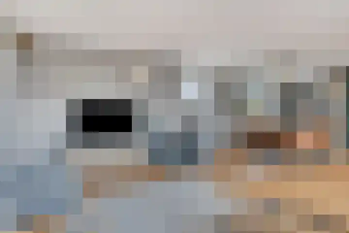 Geullestraat 42 Rotterdam thumbnail 7