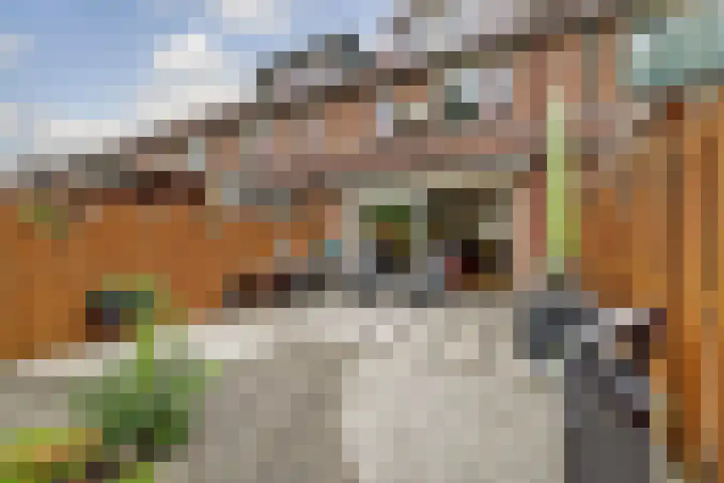 Geullestraat 59 Rotterdam thumbnail 25