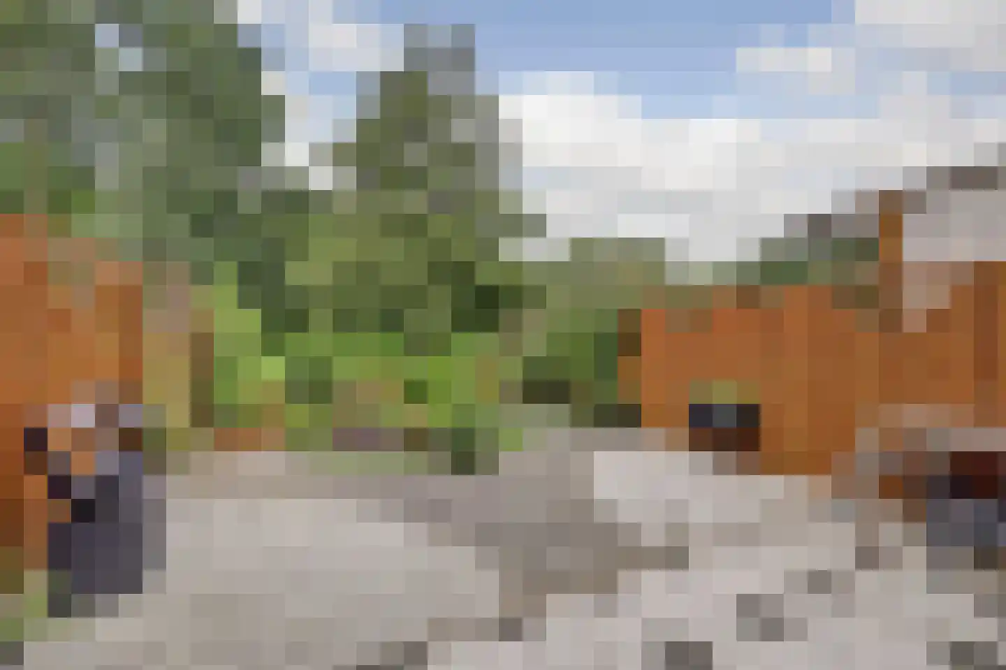 Geullestraat 59 Rotterdam thumbnail 26
