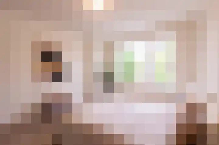 Geulstraat 1 Groningen thumbnail 25