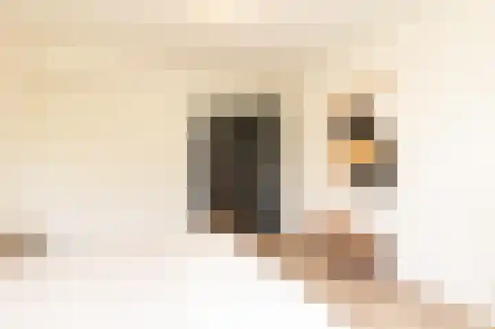 Geulstraat 1 Groningen thumbnail 26