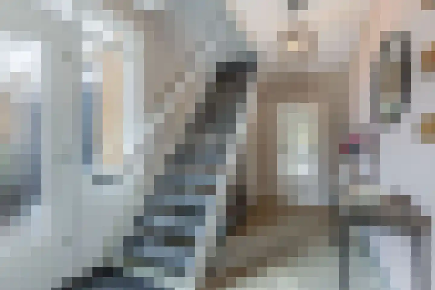 Geulstraat 10 Emmeloord thumbnail 14