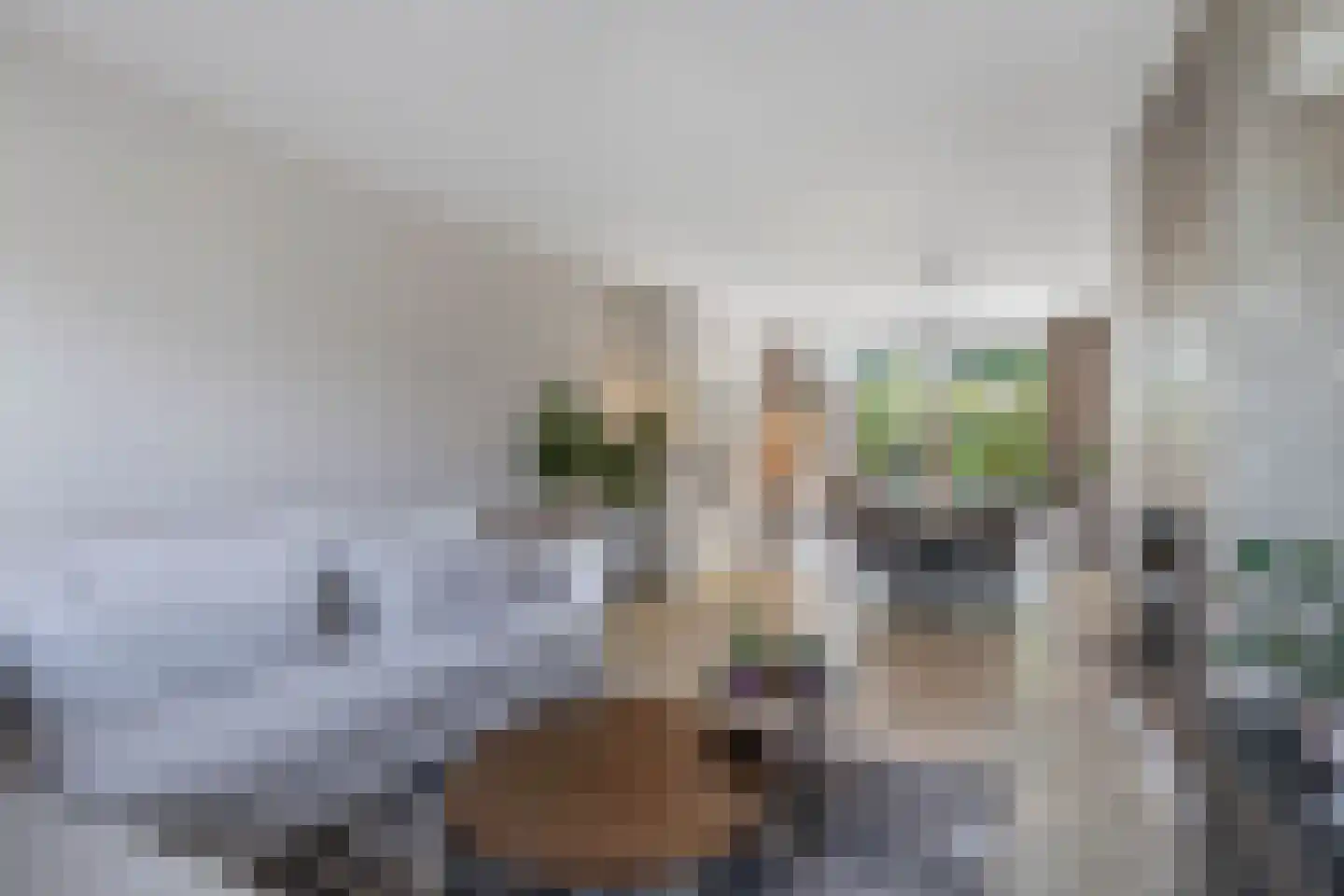Geulstraat 10 Emmeloord thumbnail 20