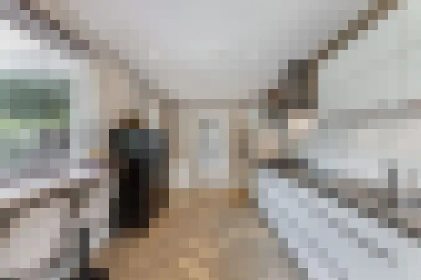Geulstraat 10 Emmeloord thumbnail 28