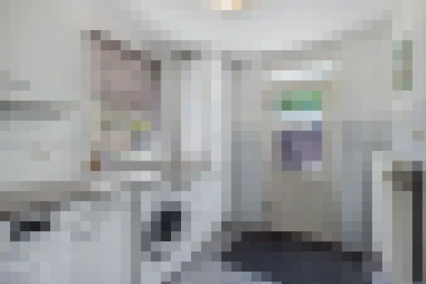 Geulstraat 10 Emmeloord thumbnail 29