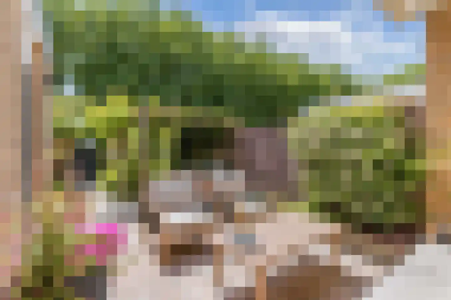 Geulstraat 10 Emmeloord thumbnail 50