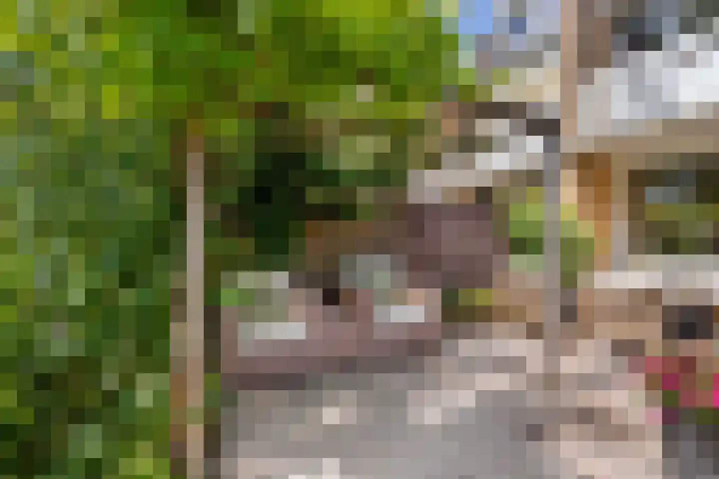Geulstraat 10 Emmeloord thumbnail 55