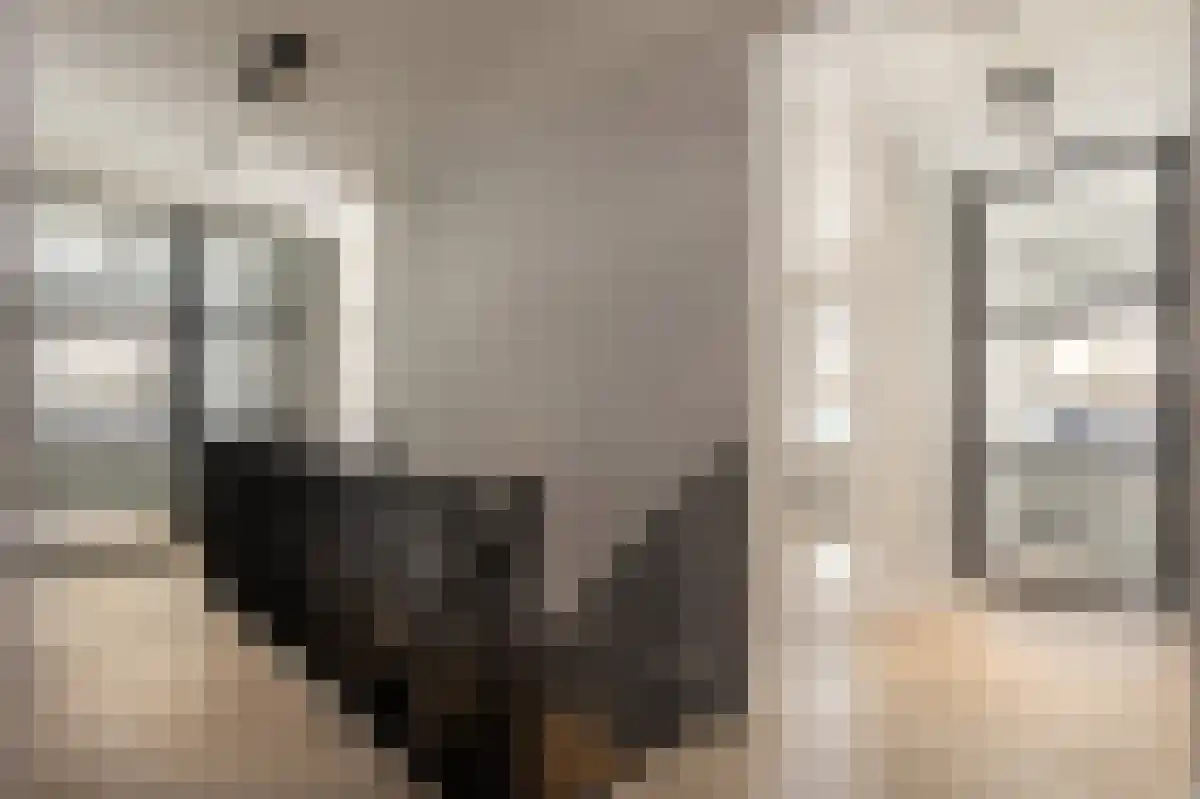 Geulstraat 12 Amsterdam thumbnail 5