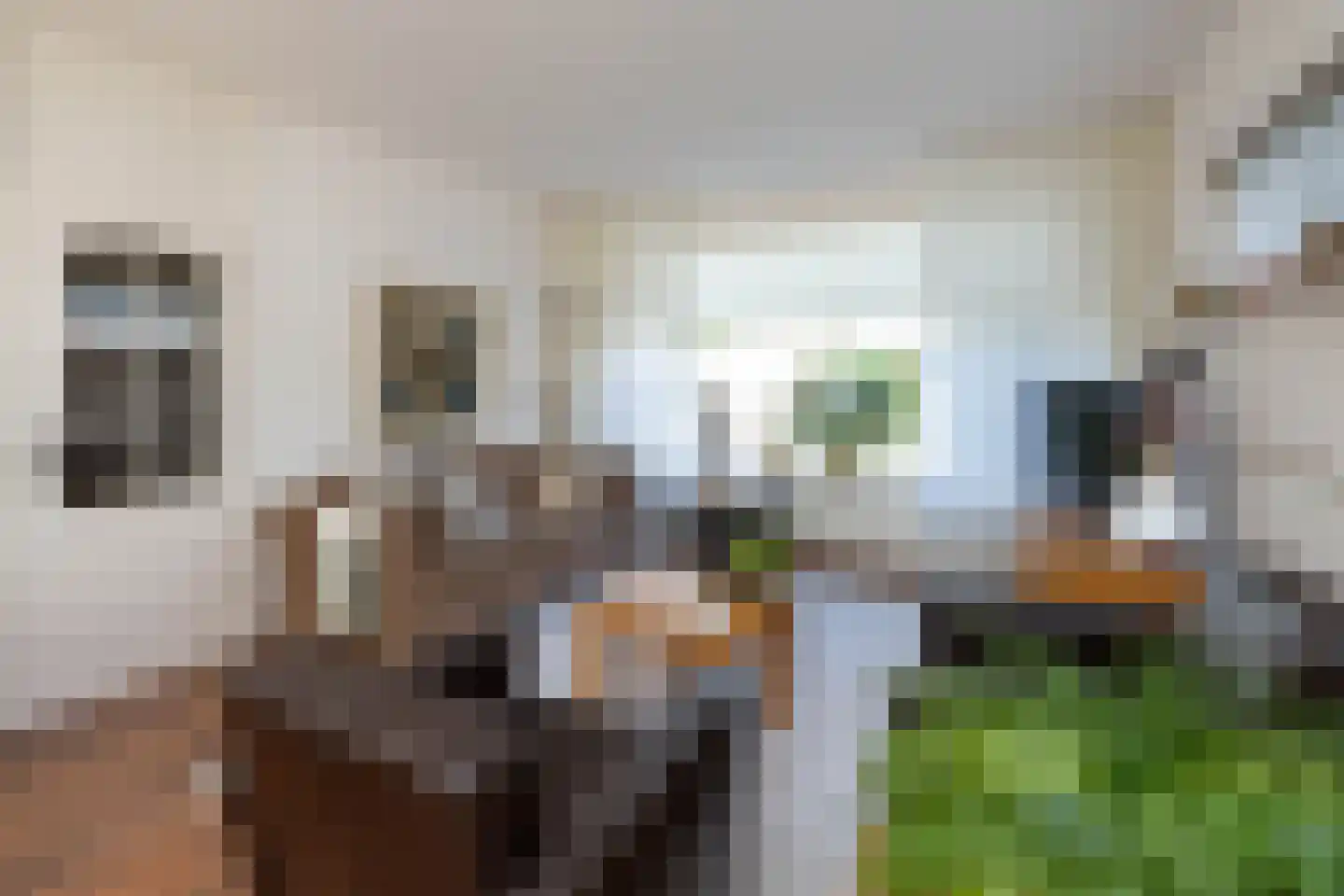 Geulstraat 13 Hengelo thumbnail 5