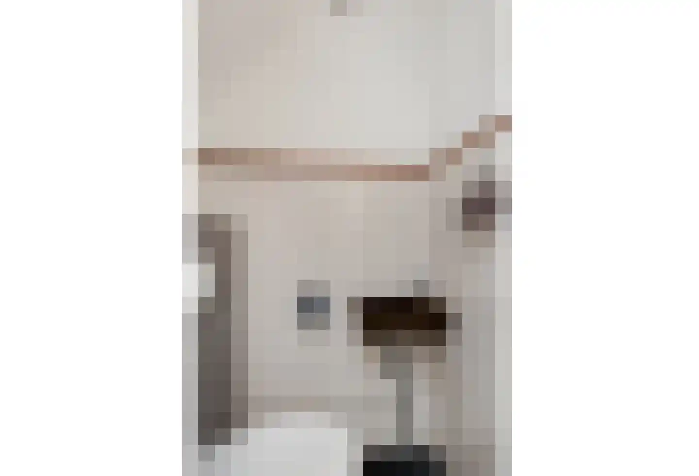 Geulstraat 14 Bunde thumbnail 11