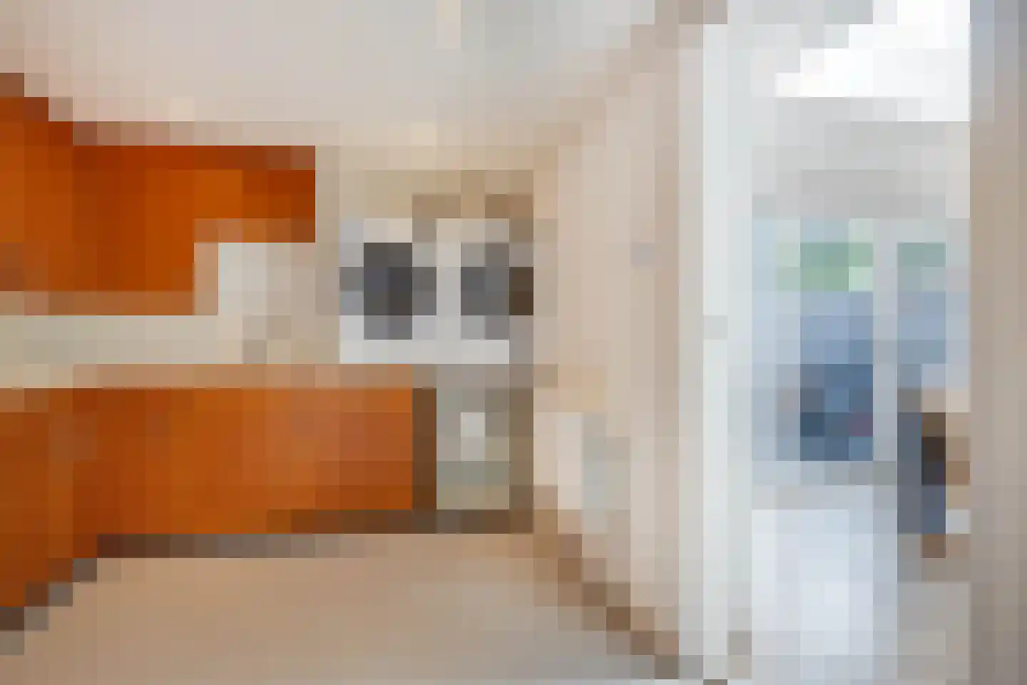 Geulstraat 14 Bunde thumbnail 28