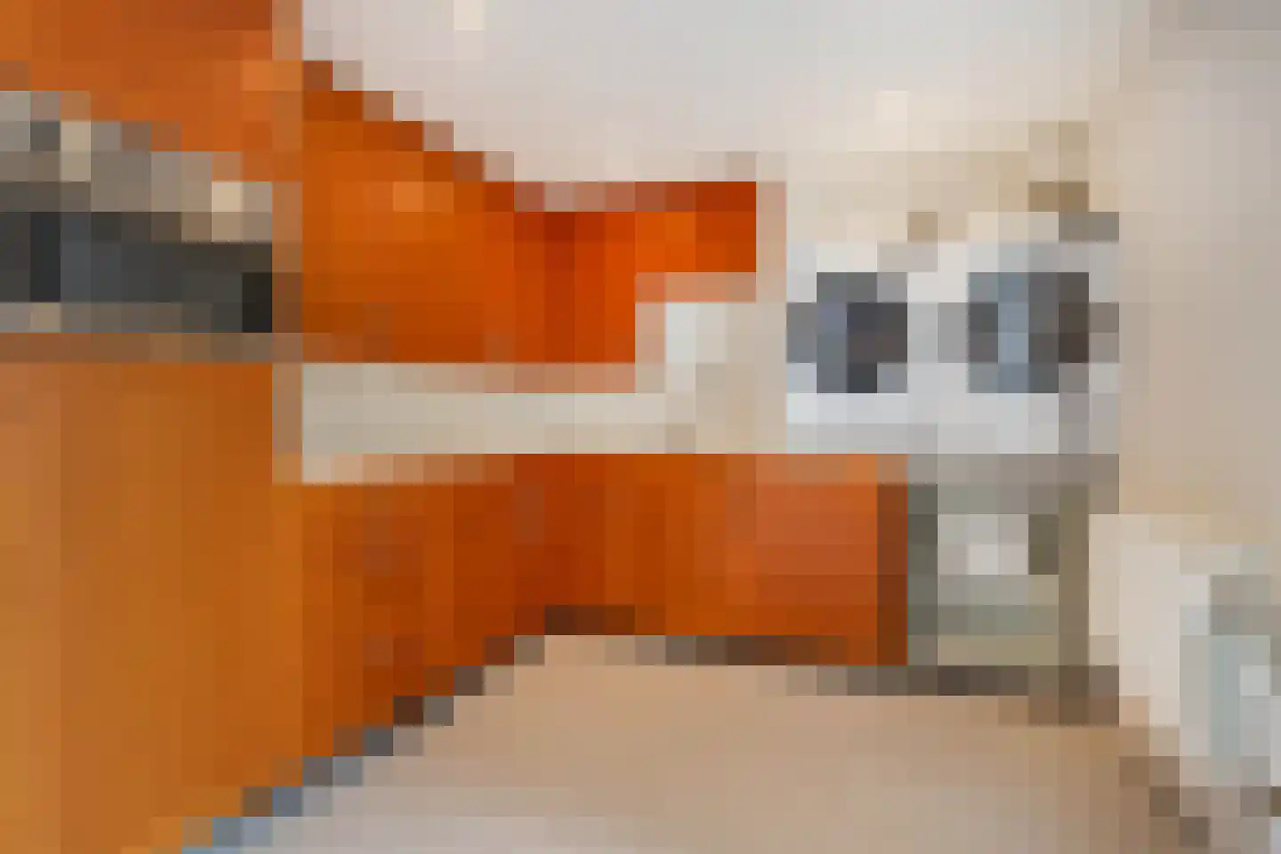 Geulstraat 14 Bunde thumbnail 29