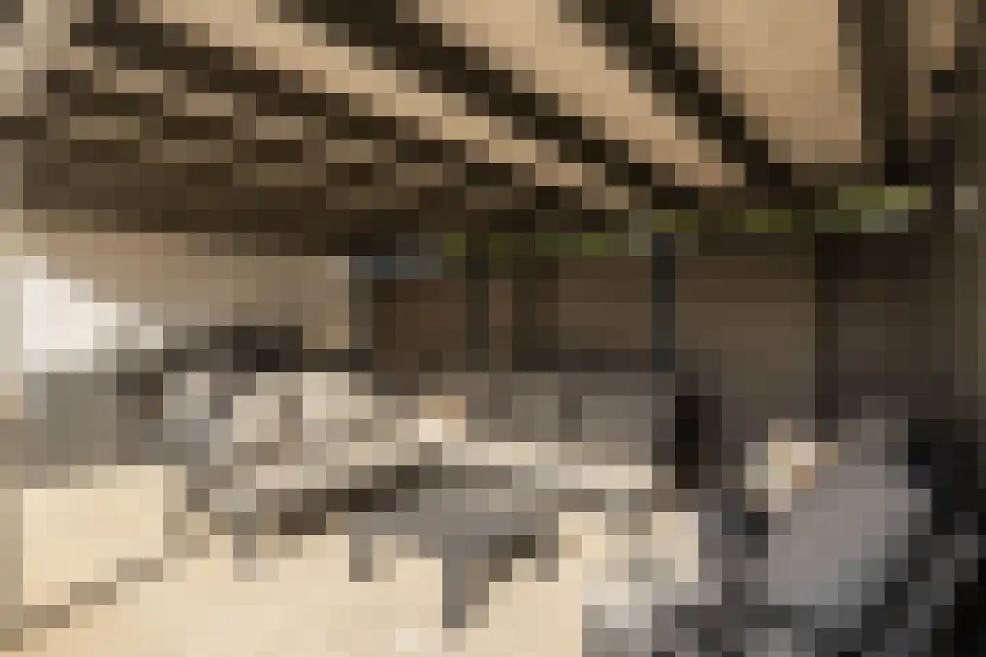 Geulstraat 14 Bunde thumbnail 56