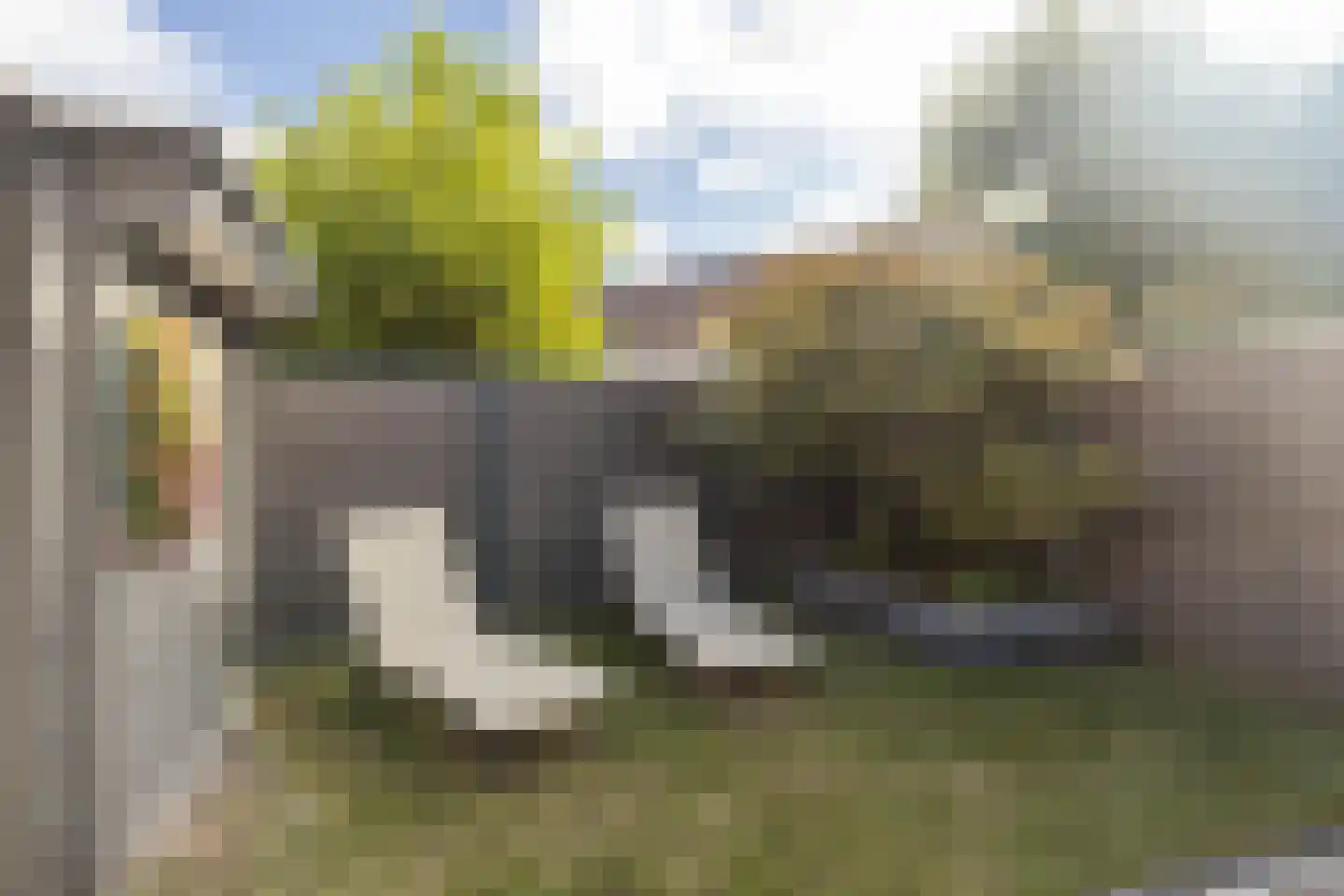 Geulstraat 14 Bunde thumbnail 58