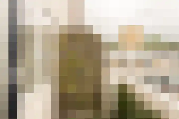 Geulstraat 15 Groningen thumbnail 10