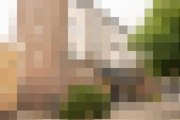 Geulstraat 15 Groningen thumbnail 17
