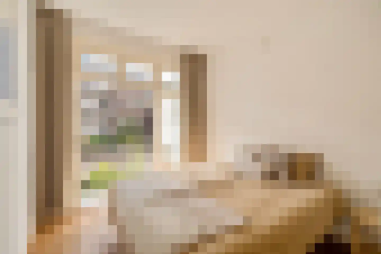 Geulstraat 17 1 Amsterdam thumbnail 20