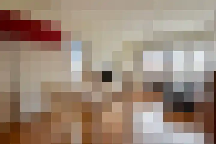Geulstraat 17 Groningen thumbnail 5
